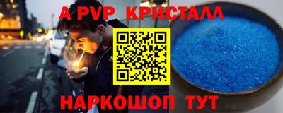твердый Кингисепп