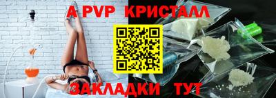 твердый Кингисепп