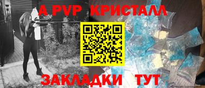 твердый Кингисепп