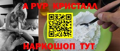 твердый Кингисепп